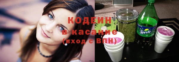 стаф Верея