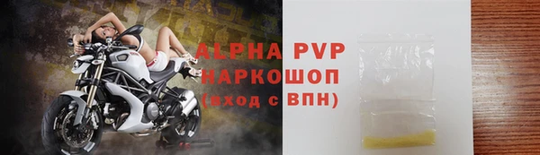 стаф Верея