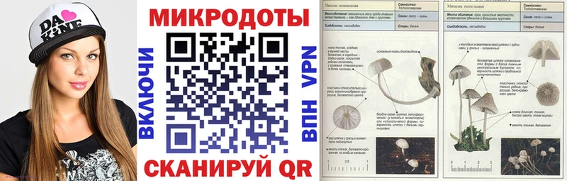 Купить где  Куса  Галлюциногенные грибы Psilocybine cubensis 