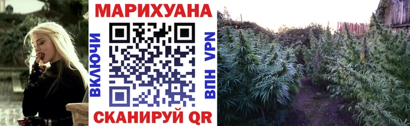 Бошки Шишки гибрид  Купить  Куса 